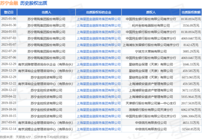 蘇寧金融8138萬元股權遭股東出質 金融信息技術外包業務引關注